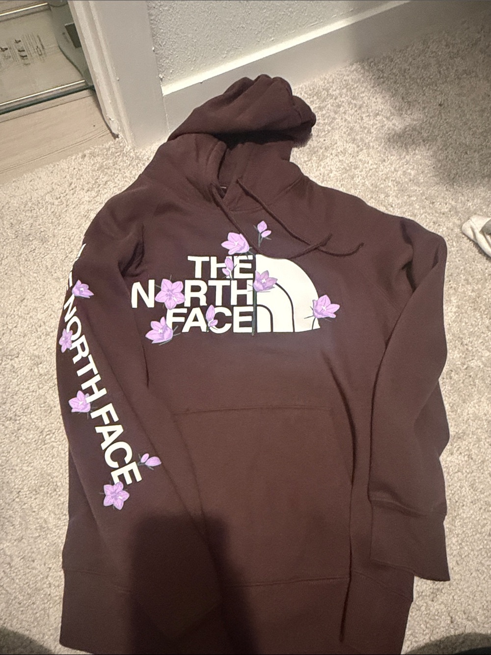 Hooded The North Face Sweatshirt